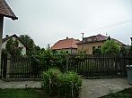 Třibřichy